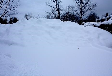 15248_10153052055910185_5005625437937274956_n