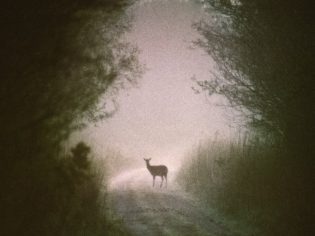 Oisin_09-e1582799415478